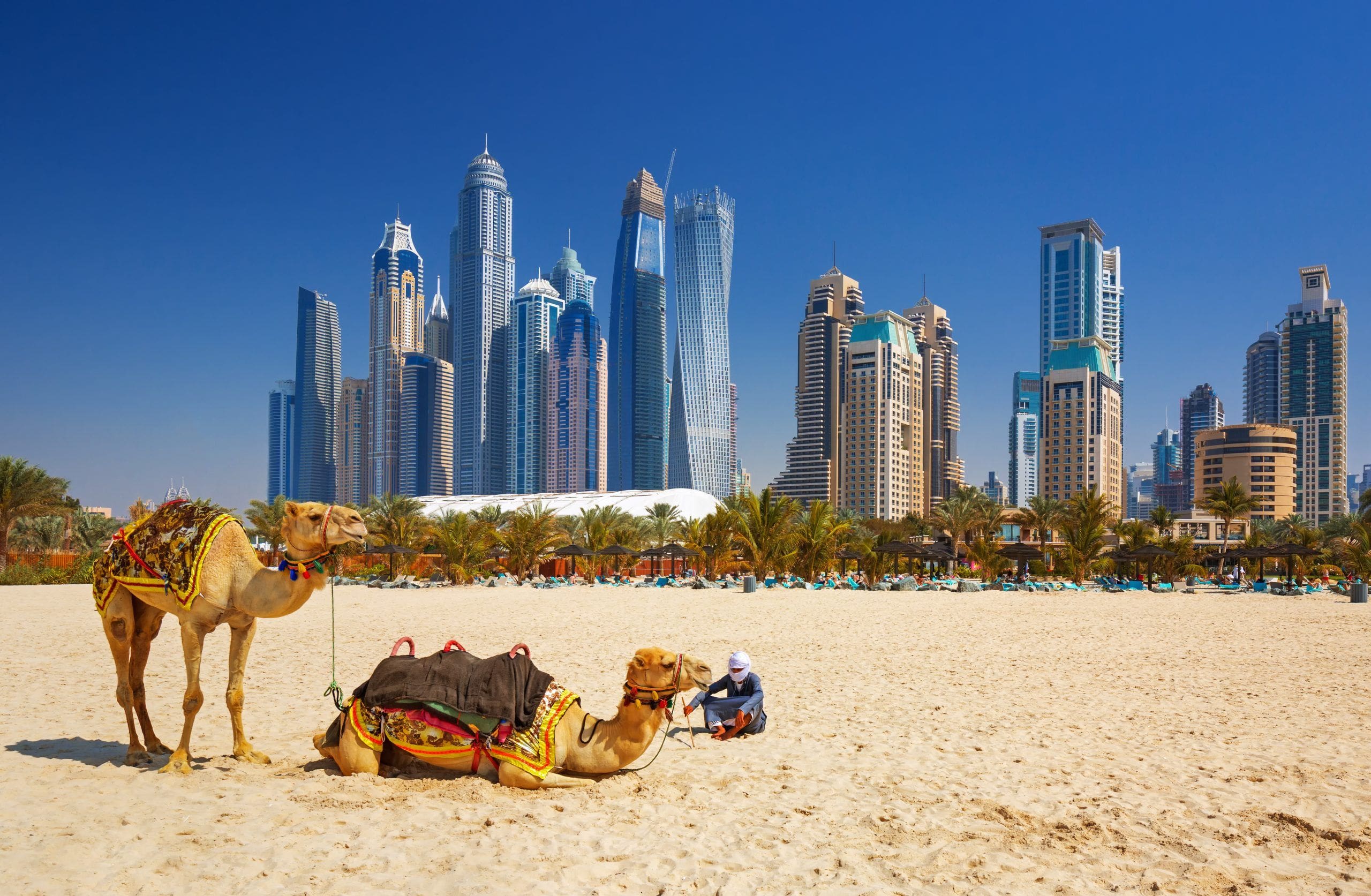 Dubai Shopping and  City Tour