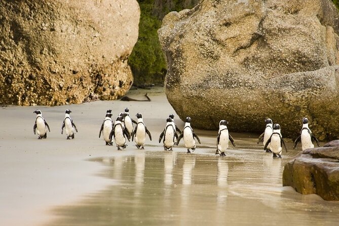 South Africa
